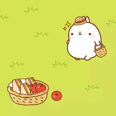 韩国 molang