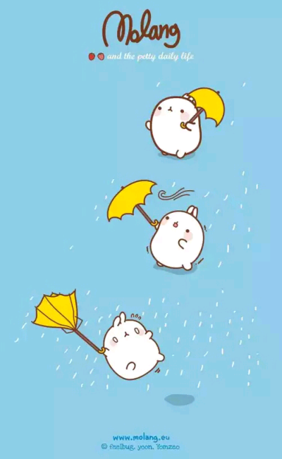 韩国 molang