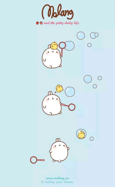 韩国 molang