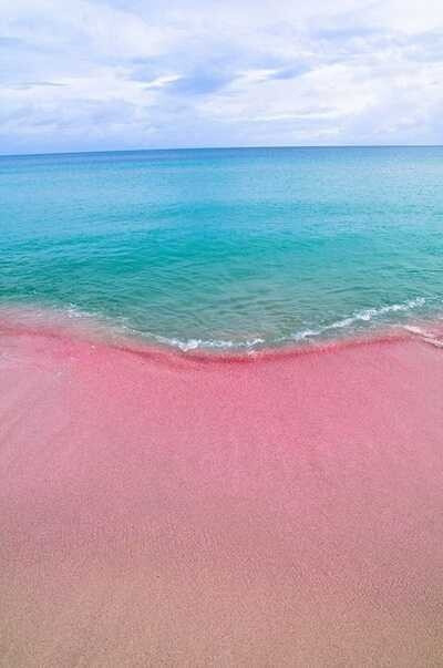 12种漂亮的海滩之粉红色沙滩： 实际上有相当多的粉红色沙滩，但一般人不大见过。这种沙滩来自粉红色贝壳中的有孔虫，它们在死掉之后，留下来的壳与石头沙子混在了一起。（2）