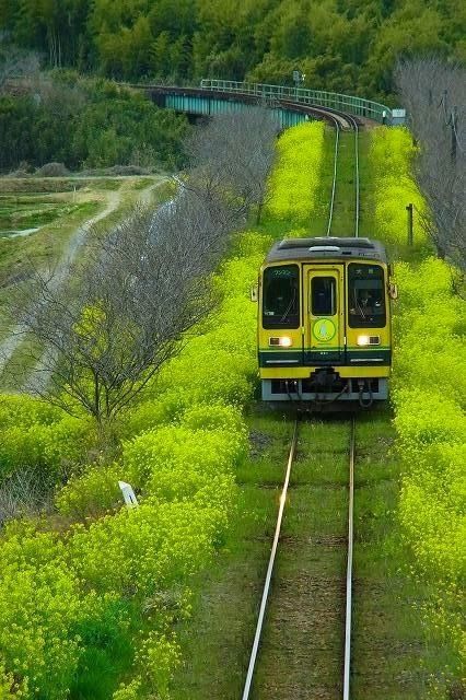 Railways in Chiba, Japan。日本千叶县。