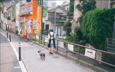 日本东京街道by长腿叔叔Owen（微博名）