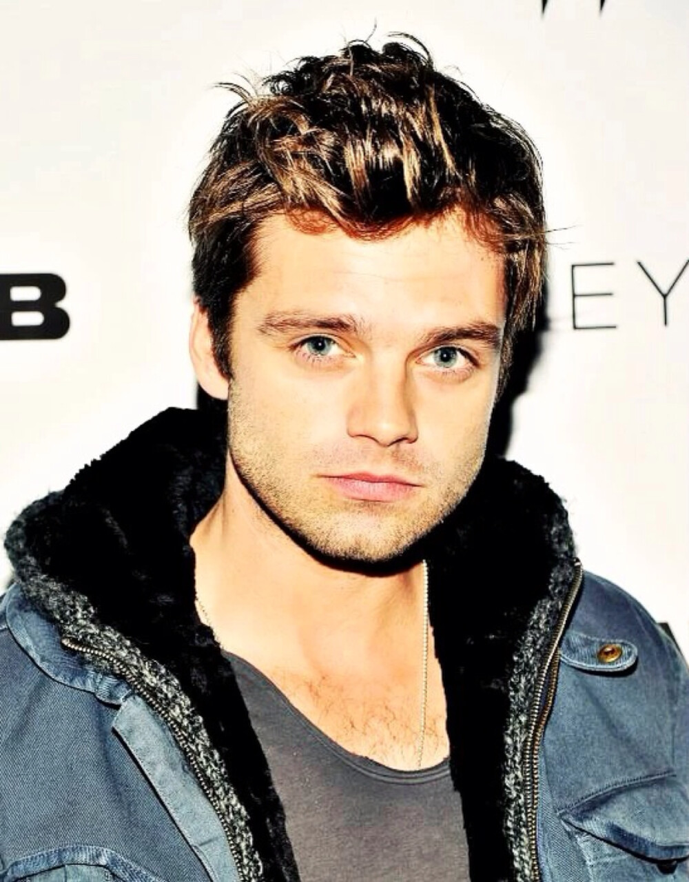 Sebastian Stan. 384 嫩嫩哒红毯照~~~~（这个红毯找张高清知道有多费劲咩…）