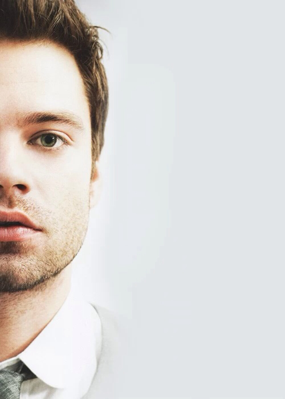 Sebastian Stan. 384