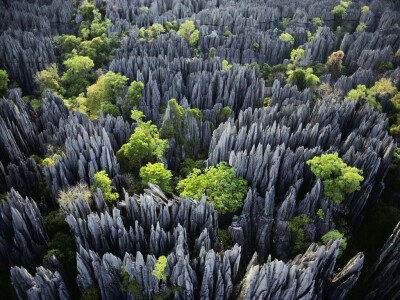 马达加斯加西部，贝马拉哈国家公园的石灰岩尖塔群。该公园以喀斯特地形闻名，因其特殊的地理环境和自然资源被联合国教科文组织列为世界文化遗产。