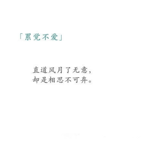 诗歌#古词#文字#