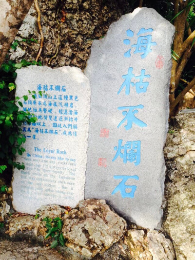 听说 三亚 一个被上帝眷顾的城市 有着浪漫的传说 浪漫的海滩 浪漫的空气 ，上帝把所有的浪漫都给了它。于是我就迫不及待的想去感受下那样的生活 ~~