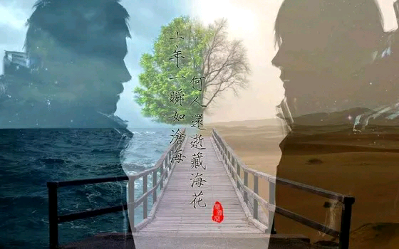 十年一瞬如沧海，何人还逝藏海花