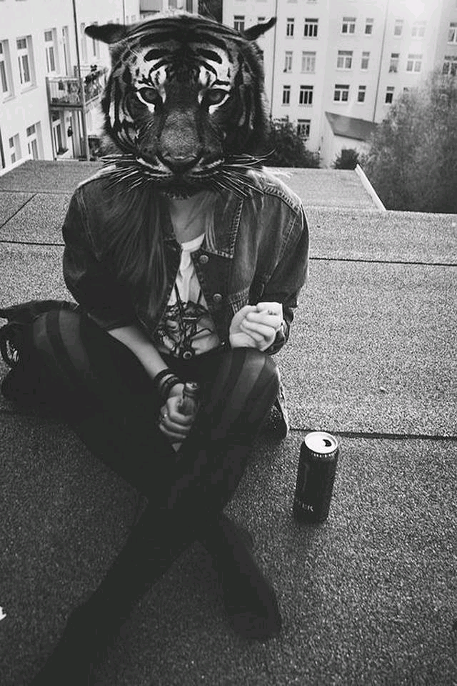 手机壁纸 iphone 老虎 傻的 平铺 黑白 清新 come on