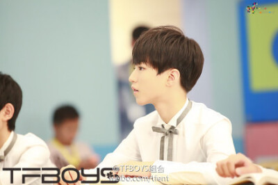 TFBOYS王俊凯 2014 青春修炼手册。cr：LOGO