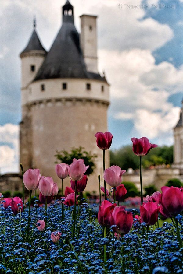  Chateau de Chenonceaux. Loire region, France（by Terrence Pellikaan, via 500px）。香波尔城堡位于法国卢瓦尔-谢尔省的香波尔地区，是世界上的城堡中最容易辨认其中一个，因为它是融合了传统法国中古时代的形式与古典意大利的法国文艺复兴建筑。西元1519年，由瓦卢瓦王朝的弗朗索瓦一世始建，其1574年去世时也才完成主塔以及一座侧翼。接下来的亨利二世虽有继续兴建，却也在不久之后就荒废了。最后，是由波旁王朝的路易十四于1684年完成。