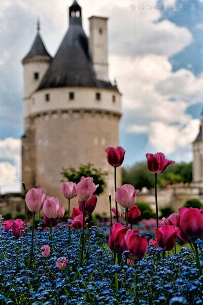  Chateau de Chenonceaux. Loire region, France（by Terrence Pellikaan, via 500px）。香波尔城堡位于法国卢瓦尔-谢尔省的香波尔地区，是世界上的城堡中最容易辨认其中一个，因为它是融合了传统法国中古时代的形式…