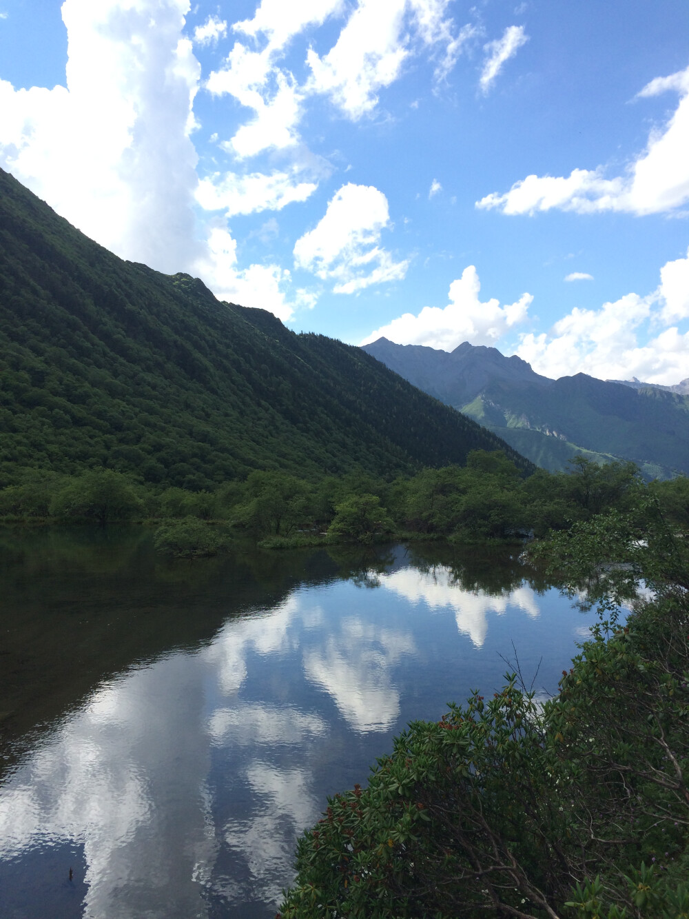 你中有我，我中有你—黄龙