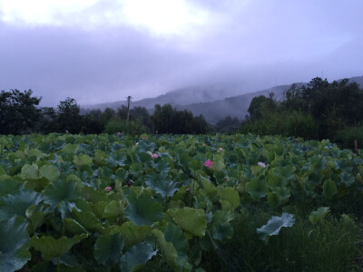 天青色等烟雨，而我在等你—和顺