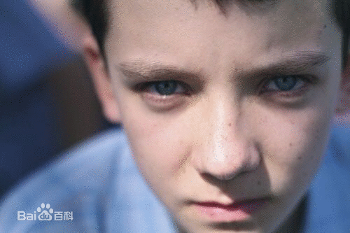  阿沙·巴特菲尔德1997年4月1日出生于英国伦敦的伊斯林顿。阿沙7岁便开始了他的表演生涯。06年便出演了戏剧《我和托马斯》和07年电影《第二滴血》08年，他还客串了电视剧《尘归尘》和主演了《穿条纹睡衣的男孩》在2008年的电视剧《梅林传奇》的The Beginning Of The End一集中Asa扮演一个德鲁伊小男孩，《魔法保姆麦克菲2》2012年上映的3D电影《雨果》。2013年他的新作《安德的游戏》在北美上映，同年拍摄了《X+Y》。他将在2014年拍摄《白色马戏团》与《万圣年代》。