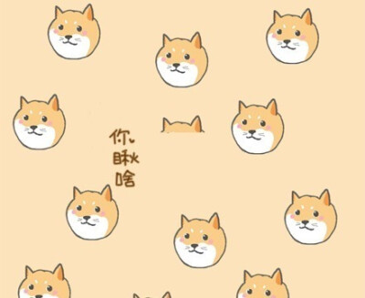 微博DOGE