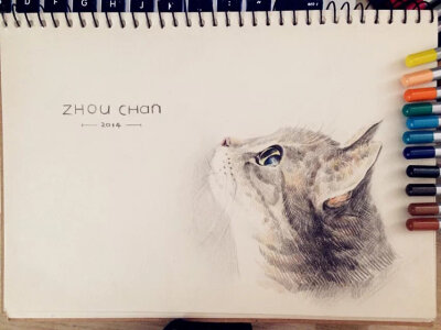 插画 猫咪 手绘 彩铅