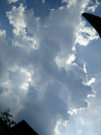 我在四会。＃窗外小景＃