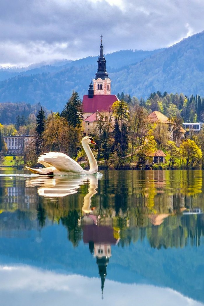 Bled Island, Lake Bled, Slovenia。斯洛文尼亚西北部上卡尼鄂拉地区的布莱德岛，是斯洛文尼亚唯一一座天然岛屿，位于布莱德湖，岛上有几座建筑，最大的是圣母升天教堂，像童话世界般美好。今天，它是一个重要的会议中心和旅游度假区，提供各种体育活动（高尔夫，钓鱼，马术），是背包客和远足的出发点，特别是在附近的特里格拉夫国家公园。