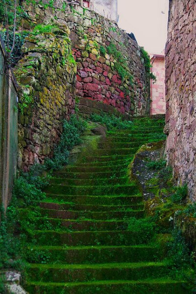 苔藓的楼梯，撒丁岛，意大利