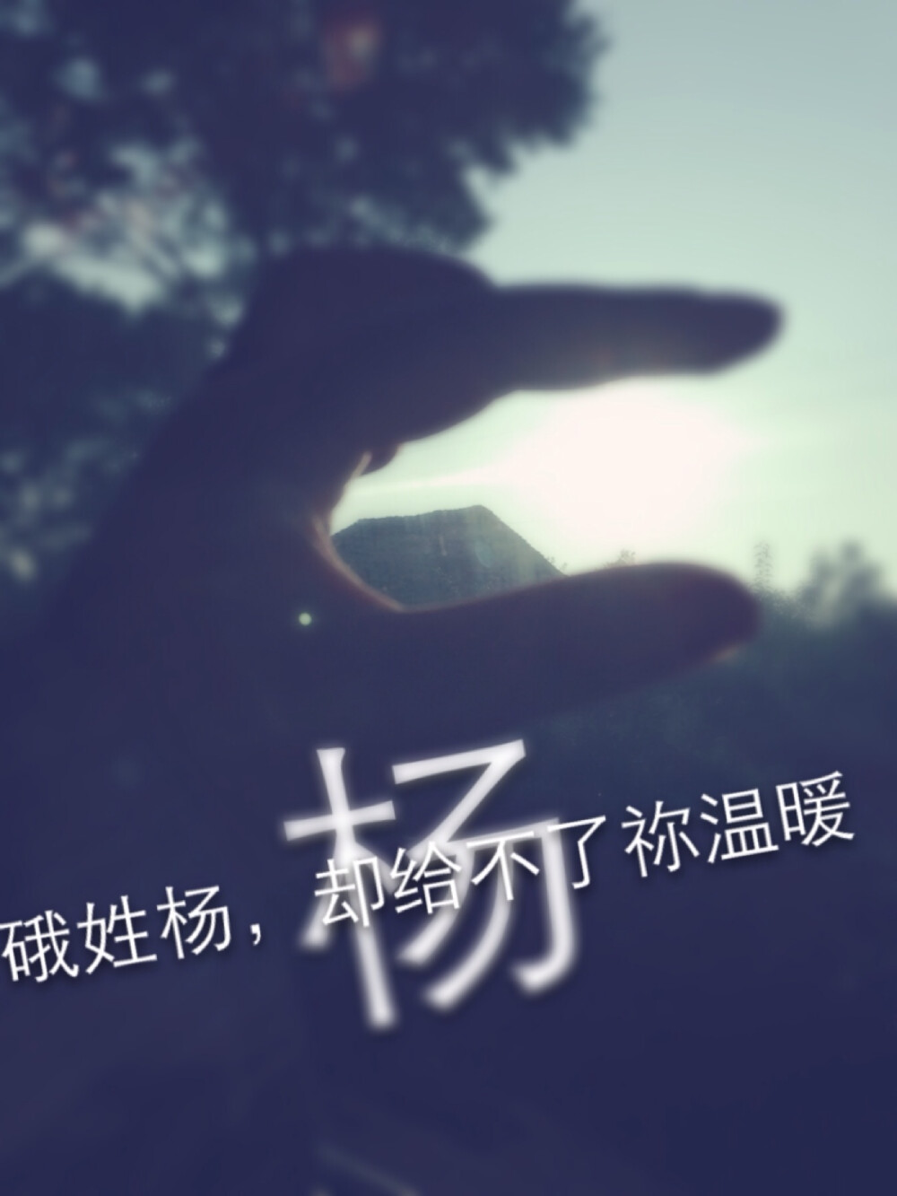 杨氏- 高清图片,堆糖,美图壁纸兴趣社区