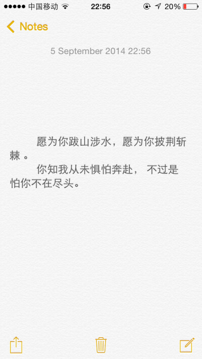 愿为你跋山涉水，愿为你披荆斩棘 。你知我从未惧怕奔赴， 不过是怕你不在尽头。