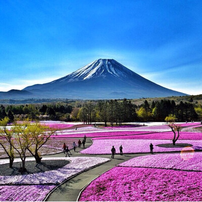 日本富士山