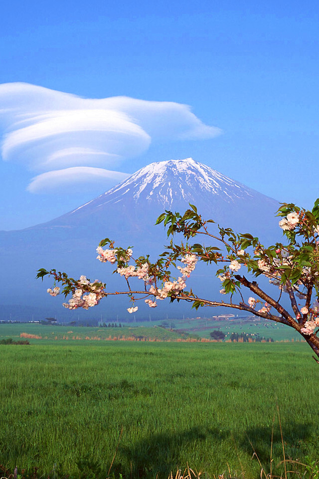 富士山奇特的云。