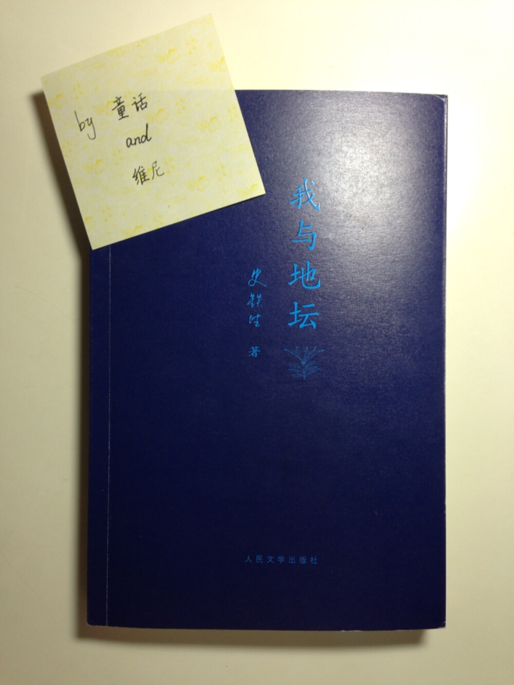 史铁生的《我与地坛》，全书可以说是作者平生的回忆。在书中，我很喜欢这样一段话：“要是有些事我没说，地坛，你别以为是我忘了，我什么也没忘；但是有些事只适合收藏，不能说，不能想，却又不能忘……”