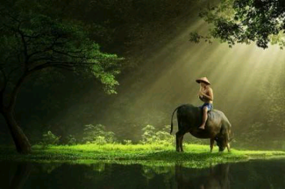 牧童骑黄牛。。。。。后面的~T_T~我忘了