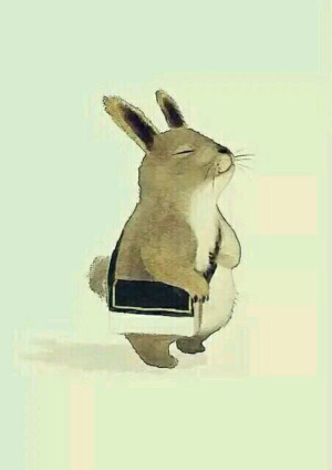 舒服的感觉,萌兔子