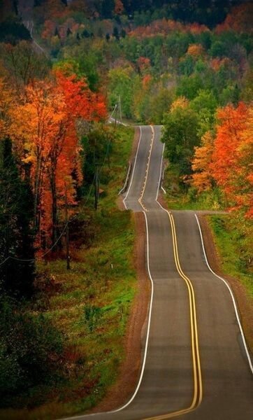 带着最爱的人去看最美的景