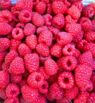 rasberry 手机 背景 锁屏