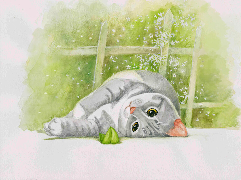 刚才我睡了多久？喵？？