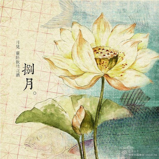 浮生流年，十二月花，手绘，插画