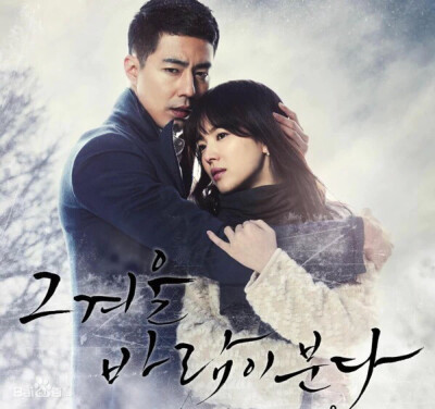 《那年冬天，风在吹》是韩国SBS电视台于2013年2月13日起播出的水木剧，改编自日剧《不需要爱情的夏天》，由赵寅成、宋慧乔、金范、郑恩地主演，卢熙京编剧，金奎泰导演，安七炫任OST制作人。讲述了儿时被父母遗弃、…