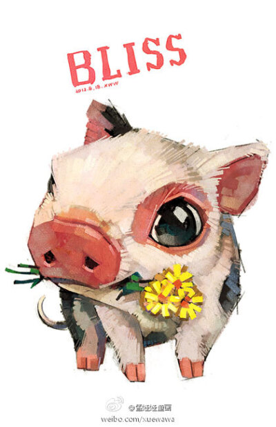 萌宠第七辑——猪