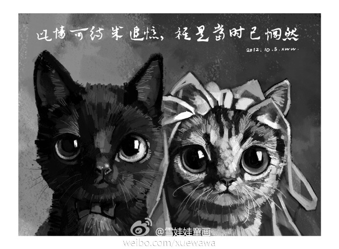 萌宠第八辑——猫