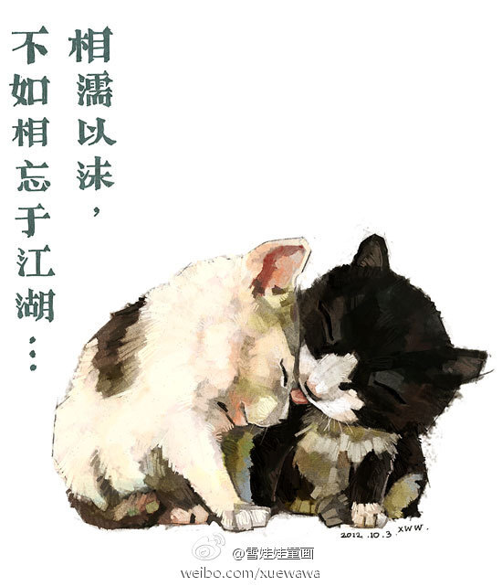 萌宠第八辑——猫