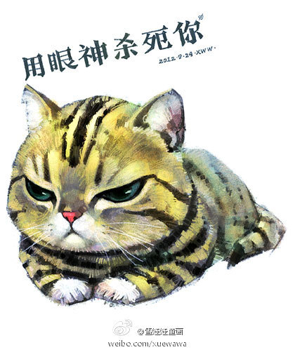 萌宠第八辑——猫