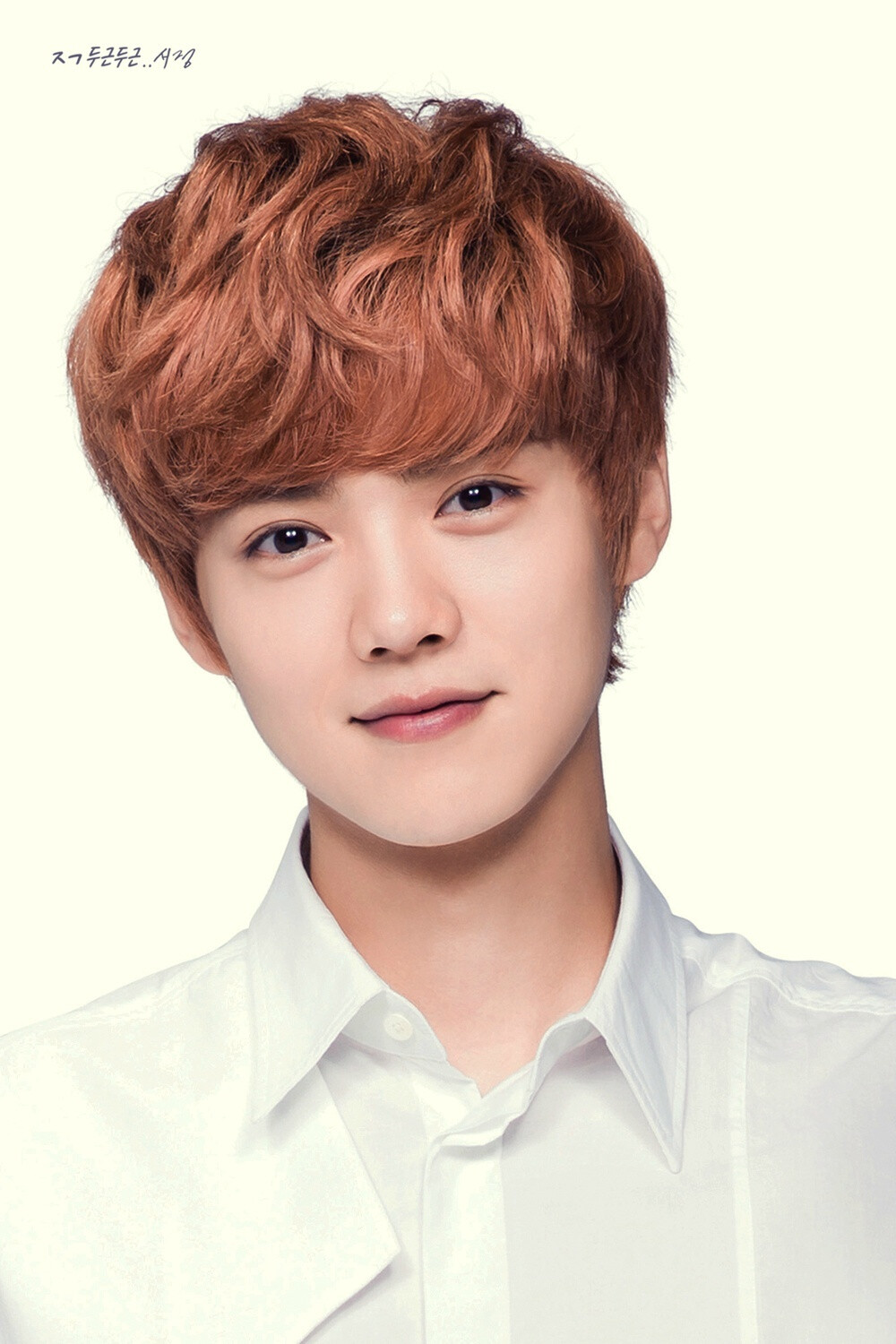 EXO`鹿晗
