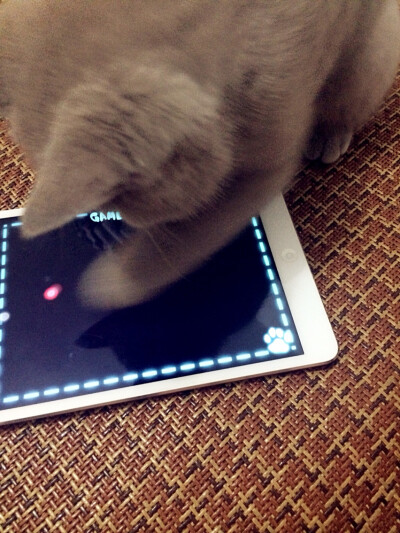 玩Ipad(⁍᷄ᄇॢ⁍᷅⑉)