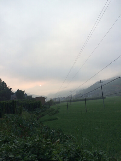 一望无际的田园风光