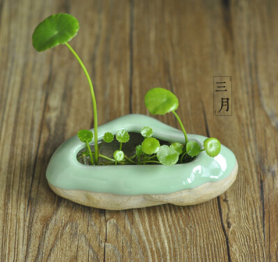 景德镇 手工陶瓷花器 多肉 水培小花盆 http://item.taobao.com/item.htm?spm=a1z10.1.w5003-8384854188.1.L0wwGZ&amp;amp;id=35513317832&amp;amp;scene=taobao_shop