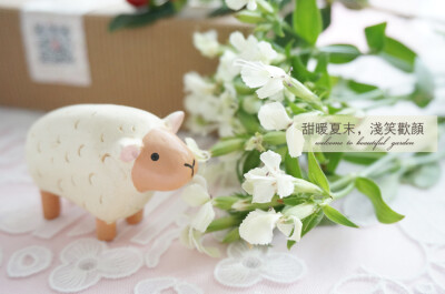 http://shop111761088.taobao.com/