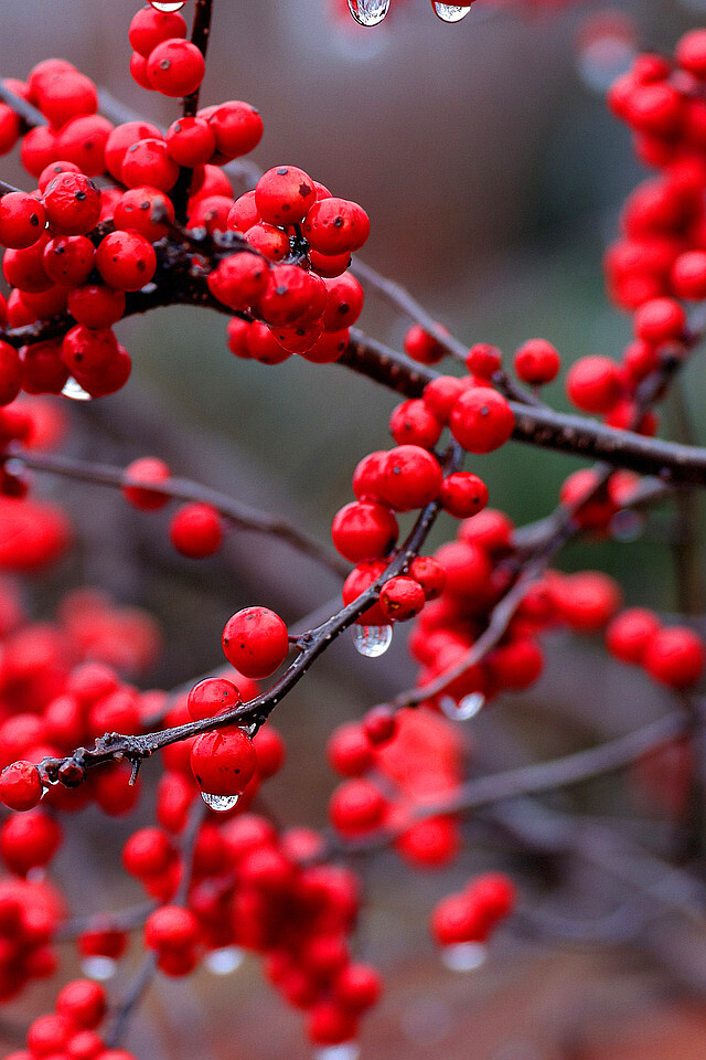 与人相处，只要对方无害你之心，你就该知足，不应有更多奢求。有时我们会悲伤，认为那些原本亲密的人应该待我们好些，心凉过后，就想想他们大概是没有半点害我的心，只是人与人之间本就自然的淡漠，所以我们依旧该保留和感激这份纯良无害的情感。——《如果巴黎不快乐》