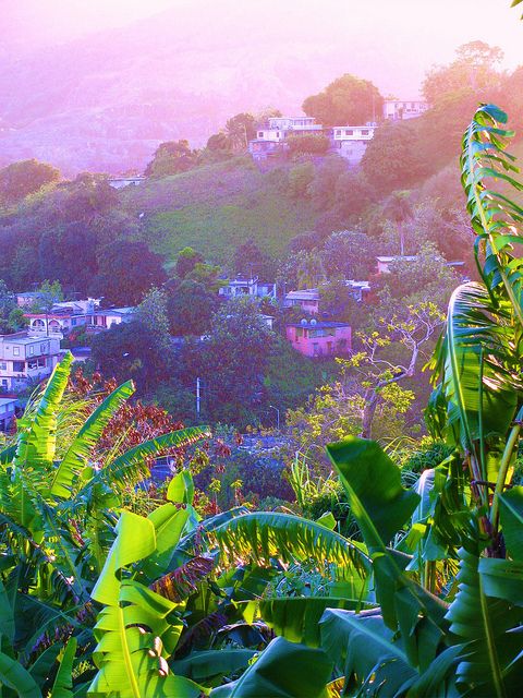 Guaynabo, Puerto Rico。美属波多黎各瓜伊纳沃。瓜伊纳沃位于波多黎各岛东北部内陆、圣胡安以西。面积70.2平方公里，是该岛第八大城市。