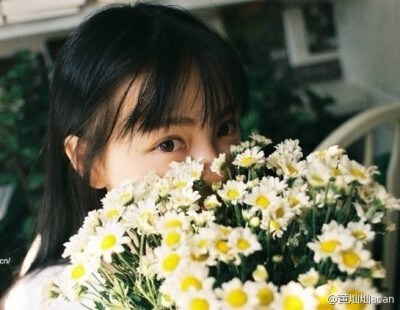 如果放弃不了那就继续喜欢吧 至少心不会空荡不安