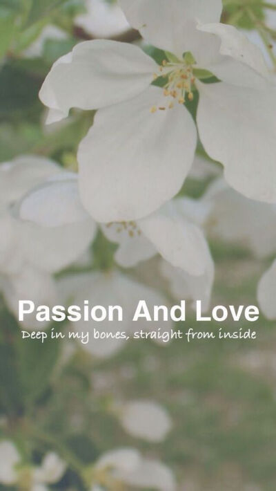 Passion And Love