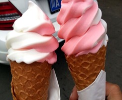 ice cream